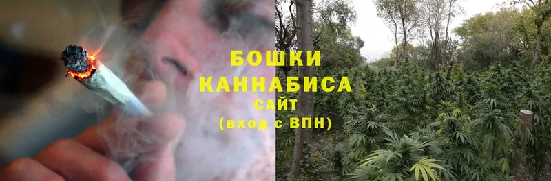 Канабис THC 21%  Кашира 